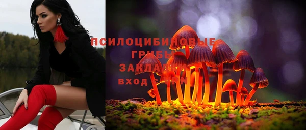 ПСИЛОЦИБИНОВЫЕ ГРИБЫ Зеленокумск