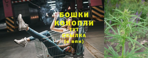 ПСИЛОЦИБИНОВЫЕ ГРИБЫ Зеленокумск