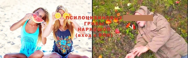 метадон Зеленодольск